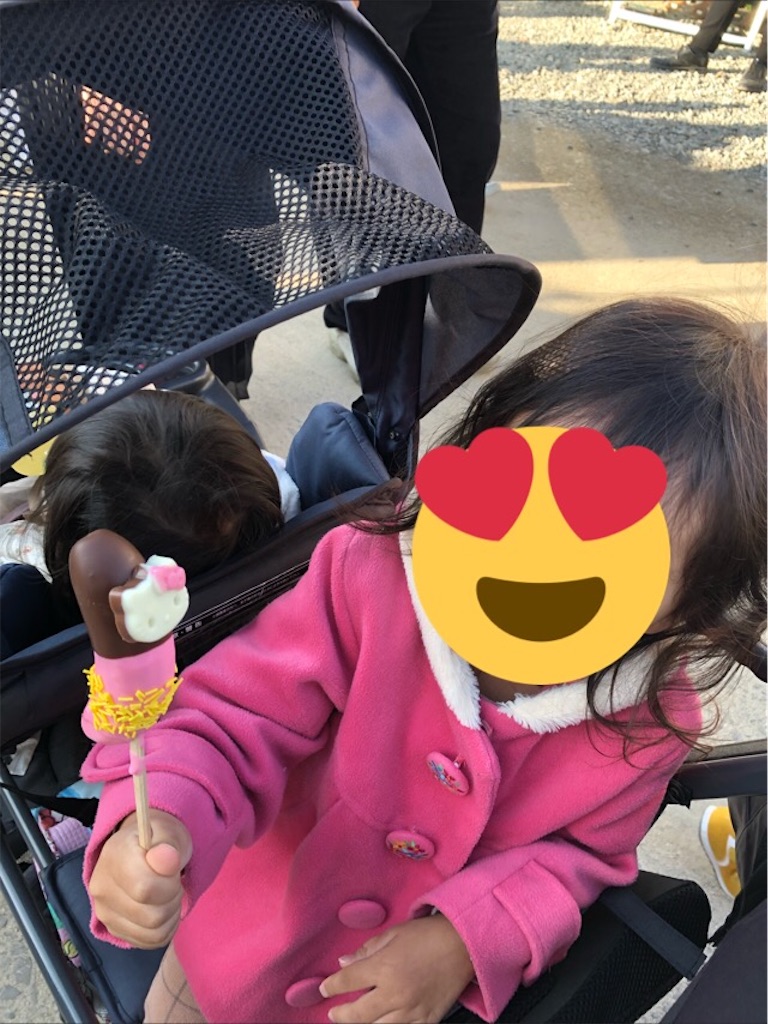 f:id:airei-mama:20221107015411j:image f:id:airei-mama:20221107015411j:image