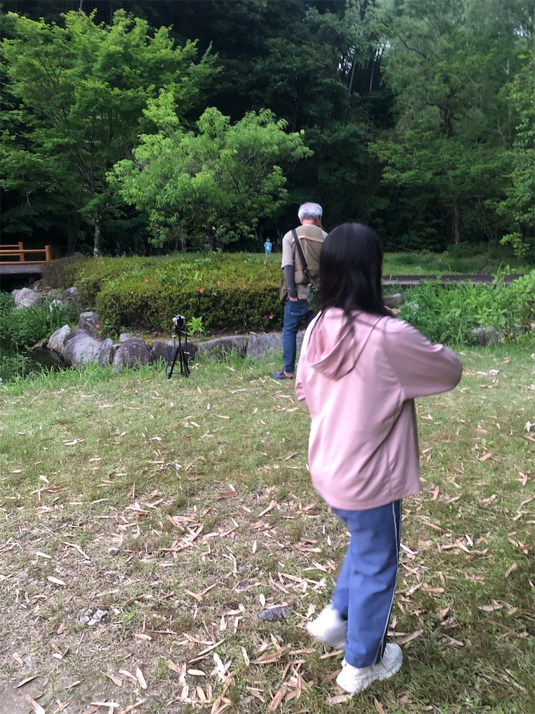 f:id:airei-mama:20240602080337j:image