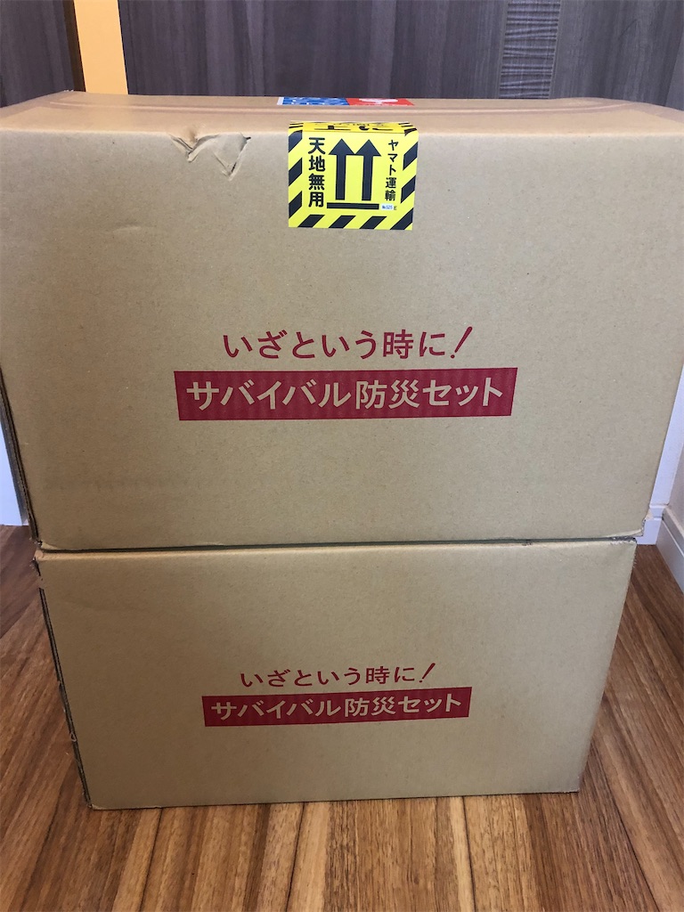 f:id:airei-mama:20250209214120j:image