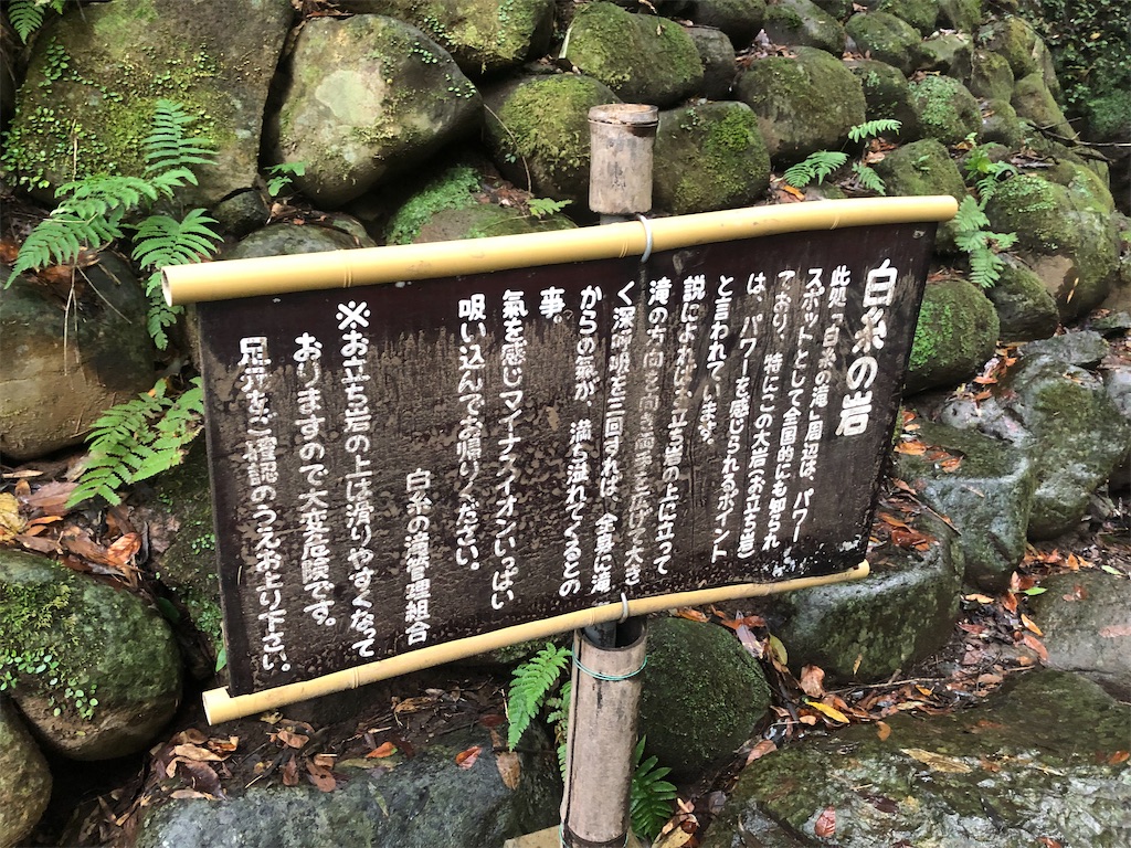 f:id:airei-mama:20251126180646j:image