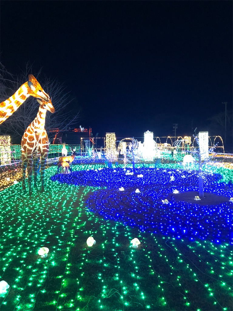 f:id:airei-mama:20260210113624j:image