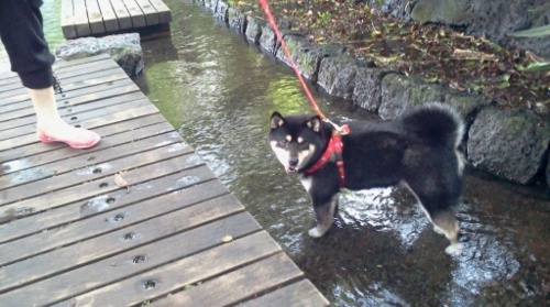 f:id:airgyan:20120716213924j:image f:id:airgyan:20120716213924j:image