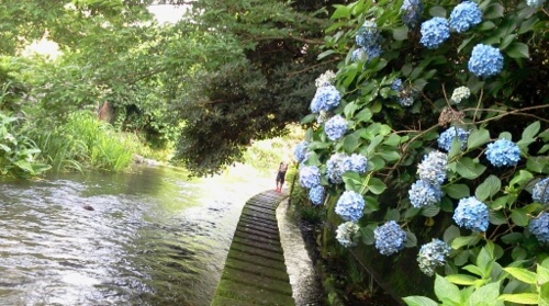 f:id:airgyan:20120716213929j:image f:id:airgyan:20120716213929j:image