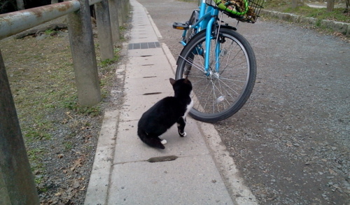 f:id:airgyan:20130109235658j:image