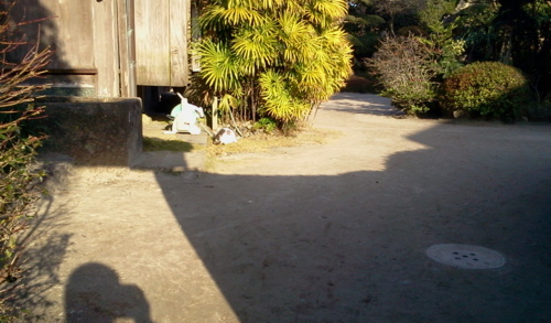 f:id:airgyan:20130214014358j:image