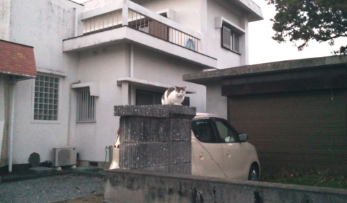 f:id:airgyan:20130214014417j:image