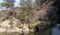 [Travel][Park]