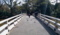 [Travel][Park]