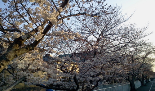 [浜松静岡][Park]