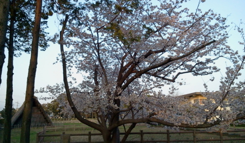 f:id:airgyan:20130324125327j:image f:id:airgyan:20130324125327j:image