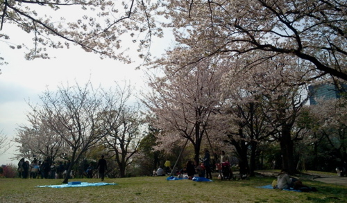 f:id:airgyan:20130405000939j:image f:id:airgyan:20130405000939j:image