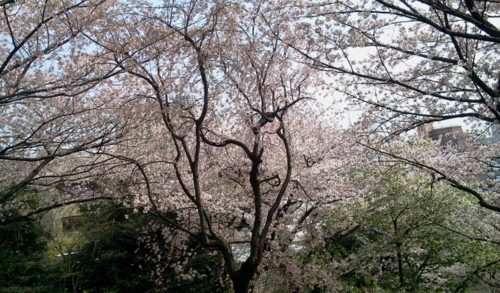 f:id:airgyan:20130405000940j:image f:id:airgyan:20130405000940j:image