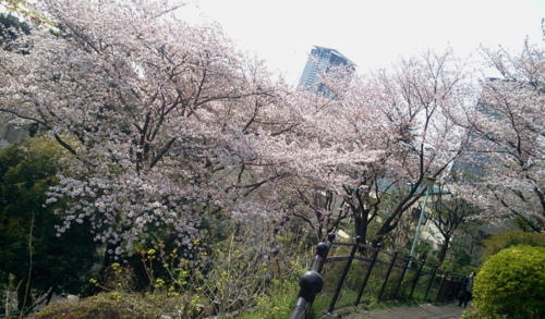 f:id:airgyan:20130405000941j:image f:id:airgyan:20130405000941j:image