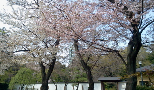 f:id:airgyan:20130405000942j:image f:id:airgyan:20130405000942j:image