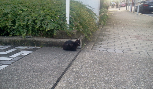 f:id:airgyan:20130827021542j:image