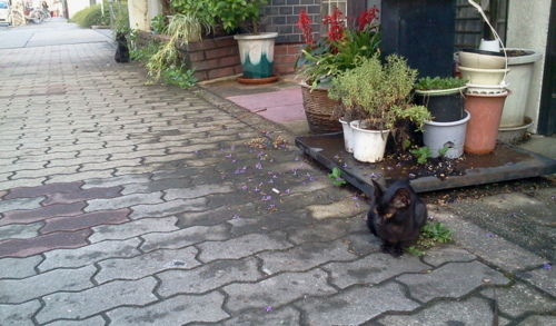 f:id:airgyan:20130827021543j:image