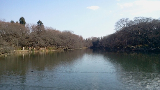 f:id:airgyan:20140104215045j:image