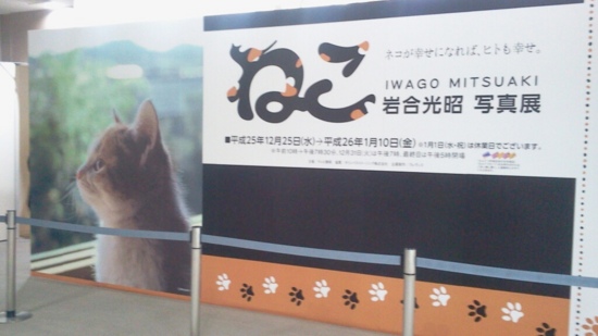 f:id:airgyan:20140104215055j:image