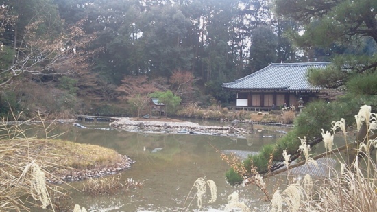f:id:airgyan:20140106000000j:image