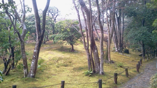 f:id:airgyan:20140111021440j:image f:id:airgyan:20140111021440j:image