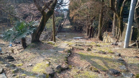 f:id:airgyan:20140202233650j:image