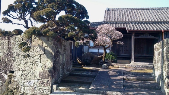 f:id:airgyan:20140204214833j:image f:id:airgyan:20140204214833j:image