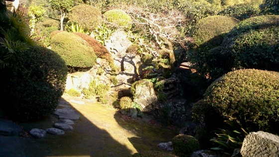 [Travel][Garden]