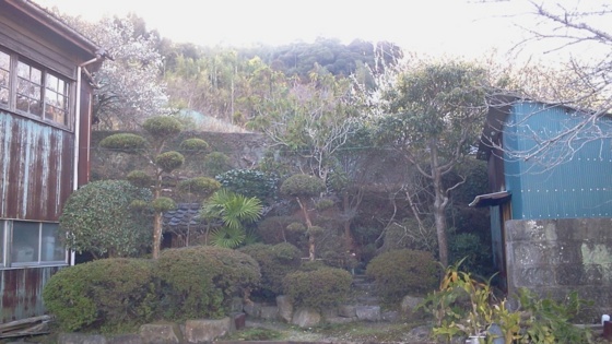 f:id:airgyan:20140204214936j:image f:id:airgyan:20140204214936j:image