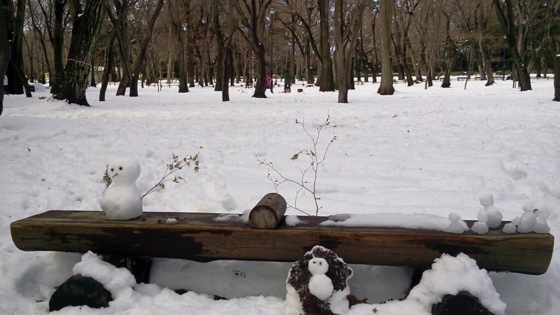 [雪][Park]