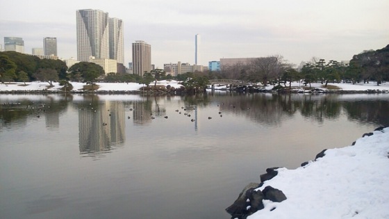 [雪][Park]