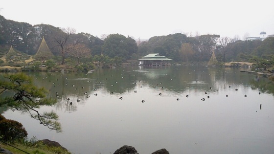 f:id:airgyan:20140228221559j:image f:id:airgyan:20140228221559j:image