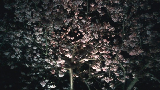 f:id:airgyan:20140301183123j:image