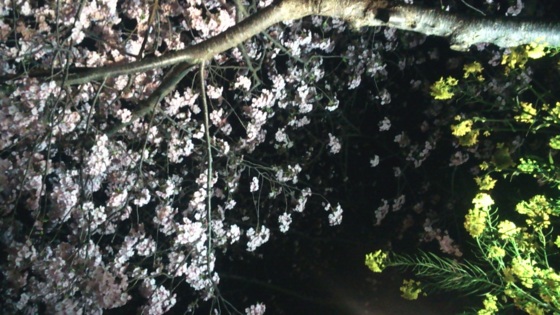 f:id:airgyan:20140301183124j:image