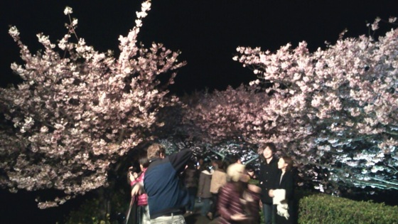 f:id:airgyan:20140301183126j:image
