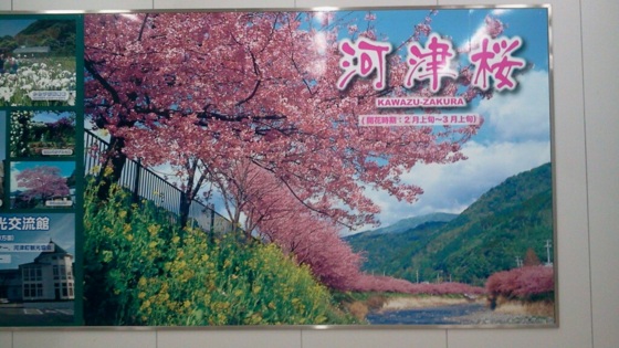 f:id:airgyan:20140301183127j:image