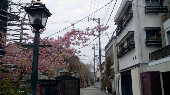 f:id:airgyan:20140301183133j:image