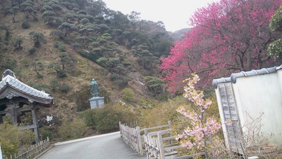 f:id:airgyan:20140301183146j:image