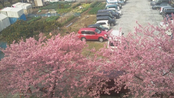 f:id:airgyan:20140301183153j:image