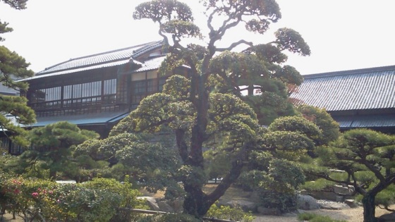 f:id:airgyan:20140310023946j:image