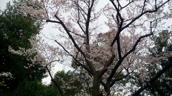 f:id:airgyan:20140327010816j:image