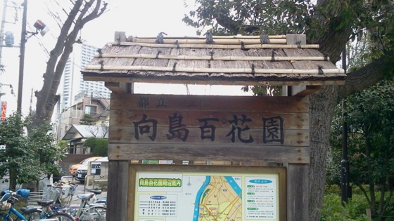 f:id:airgyan:20140327010817j:image