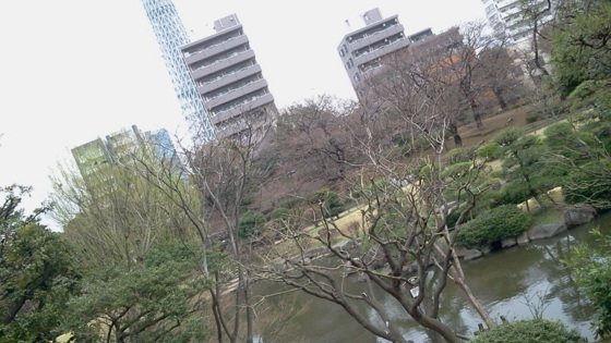 f:id:airgyan:20140327010819j:image