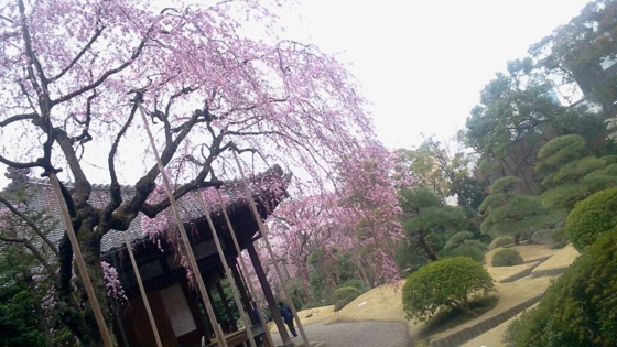 f:id:airgyan:20140327010823j:image