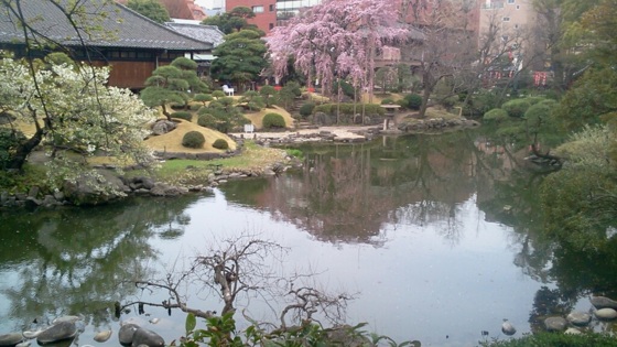f:id:airgyan:20140327010828j:image