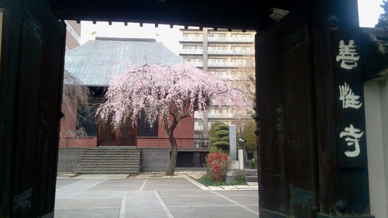 f:id:airgyan:20140327010831j:image f:id:airgyan:20140327010831j:image