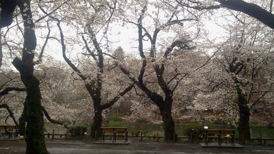 f:id:airgyan:20140401000151j:image f:id:airgyan:20140401000151j:image