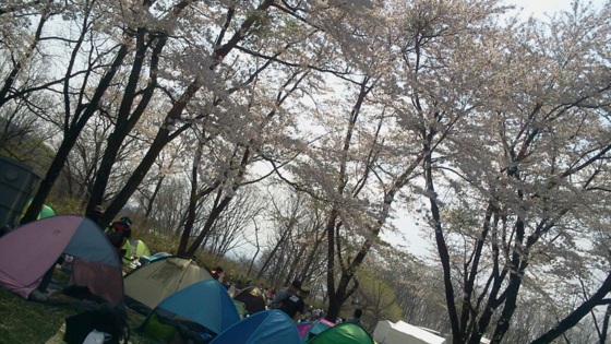 f:id:airgyan:20140429193251j:image
