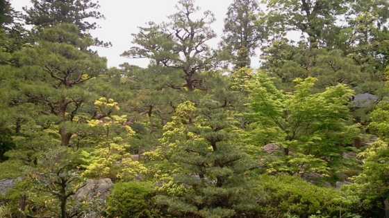 f:id:airgyan:20140523174643j:image f:id:airgyan:20140523174643j:image