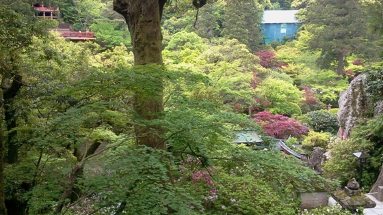 f:id:airgyan:20140523174647j:image f:id:airgyan:20140523174647j:image