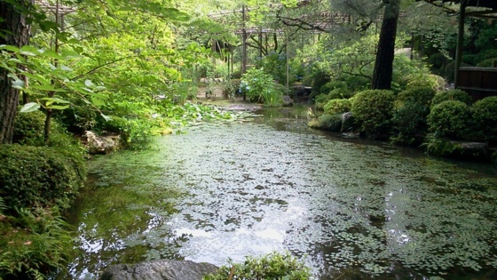 f:id:airgyan:20140708145547j:image f:id:airgyan:20140708145547j:image